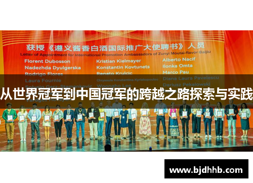 从世界冠军到中国冠军的跨越之路探索与实践